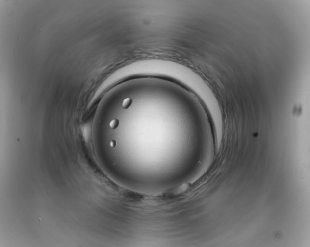 X0000091860608200709051210