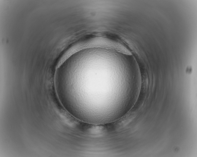 X0000091860609200709051210