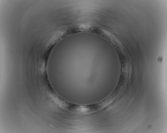 X0000091860610200709051210