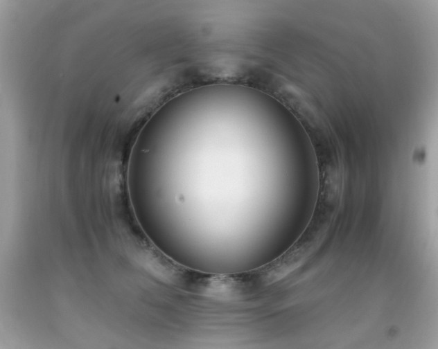 X0000091860612200709051210