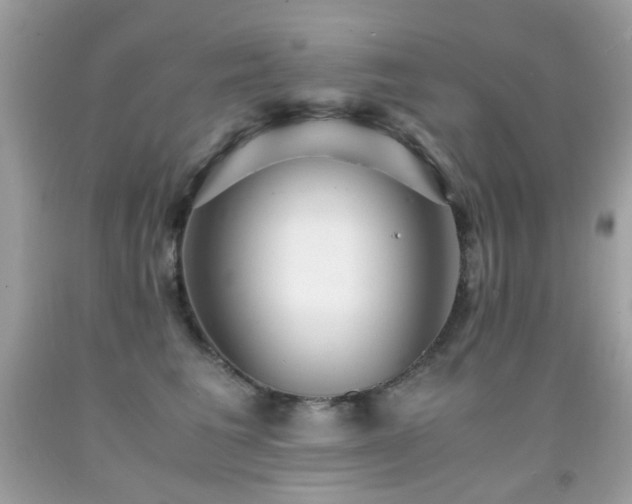 X0000091860613200709051210