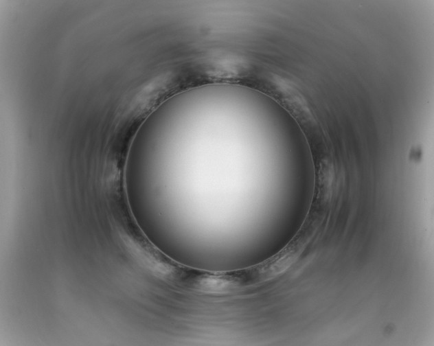 X0000091860614200709051210