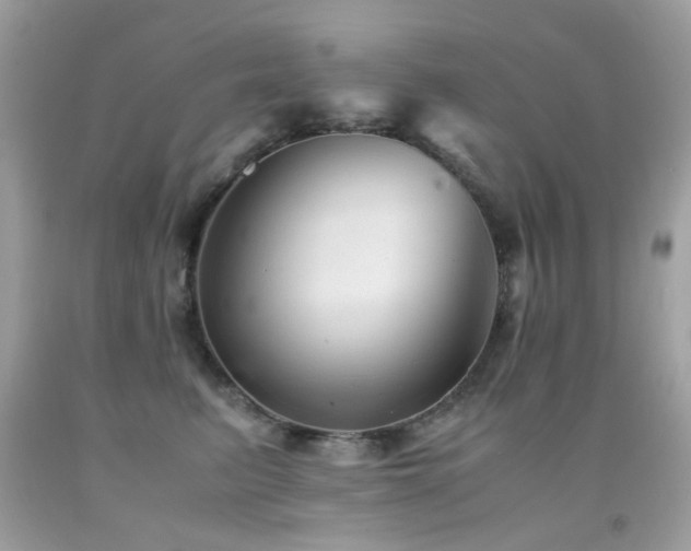 X0000091860615200709051209