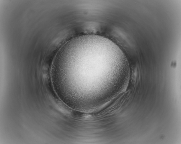 X0000091860616200709051209
