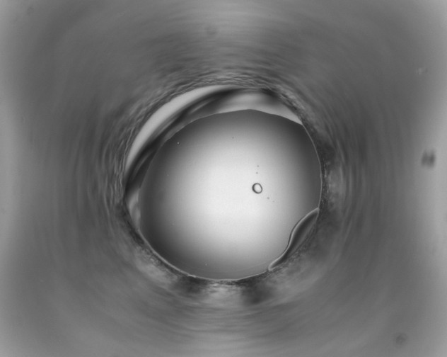 X0000091860617200709051209