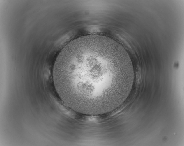 X0000091860618200709051209