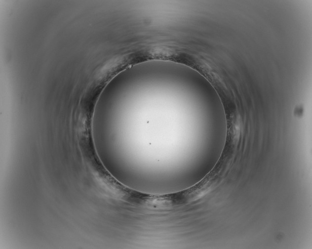 X0000091860619200709051209