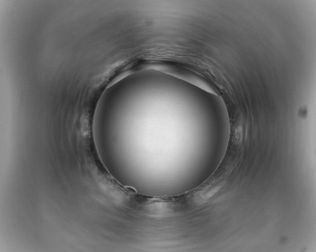 X0000091860620200709051209