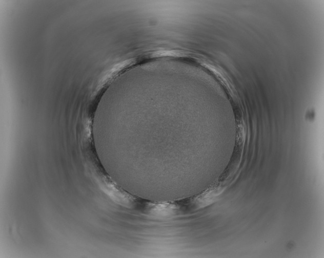 X0000091860621200709051209