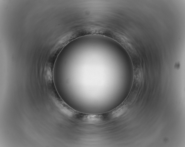X0000091860622200709051209