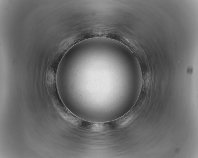 X0000091860623200709051209