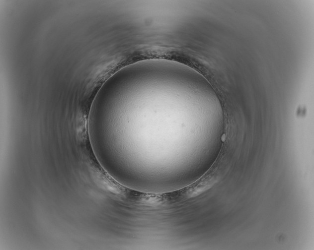 X0000091860624200709051209