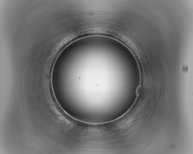 X0000091860625200709051209