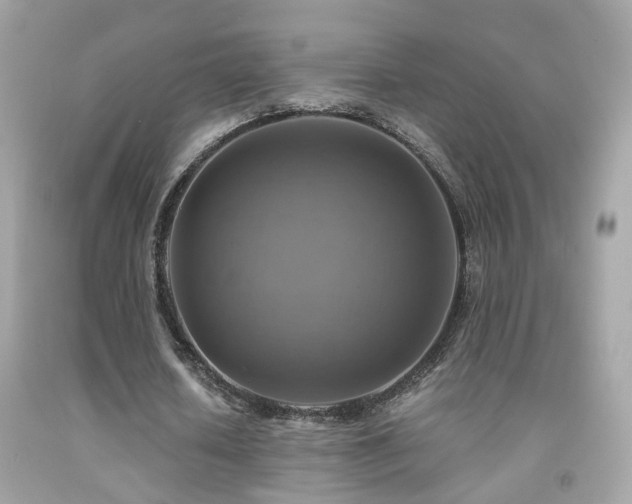 X0000091860626200709051209