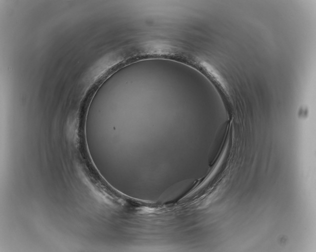 X0000091860627200709051209