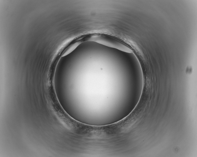 X0000091860628200709051209