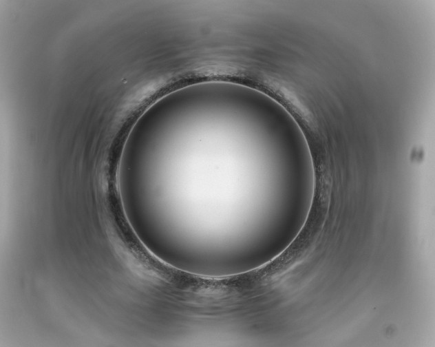 X0000091860631200709051209