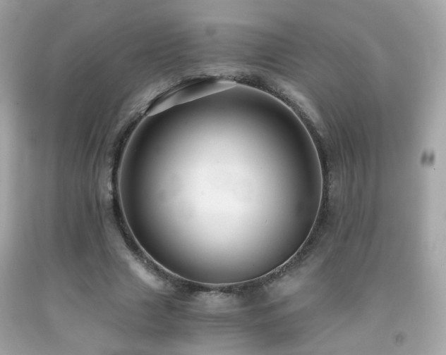 X0000091860633200709051209