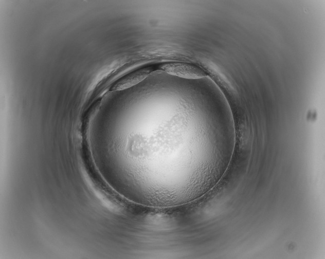 X0000091860634200709051209