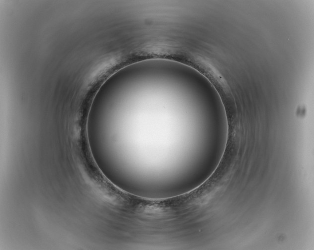 X0000091860635200709051209