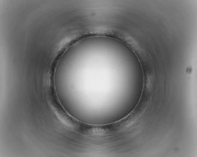 X0000091860636200709051209