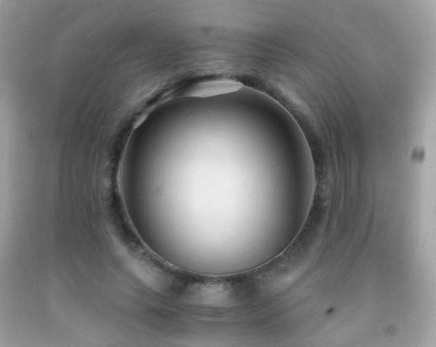 X0000091860639200709051209