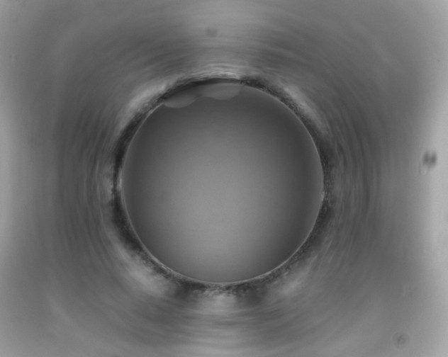 X0000091860640200709051209