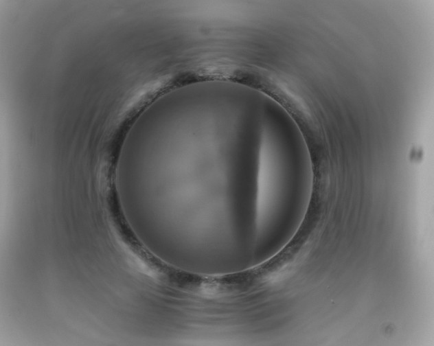 X0000091860641200709051209