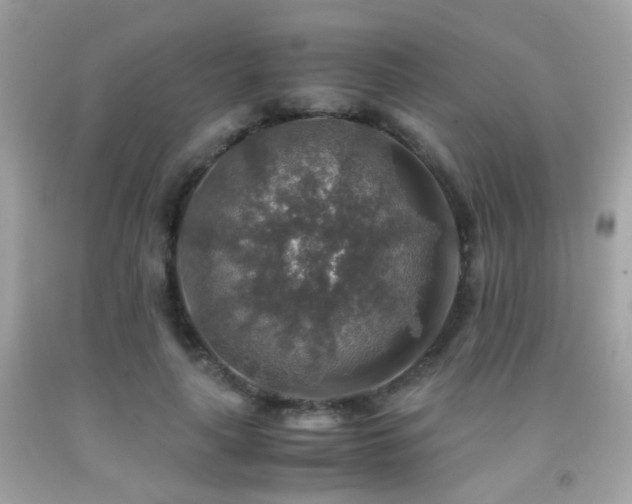 X0000091860643200709051209