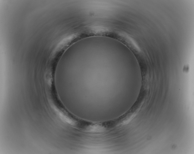 X0000091860644200709051209