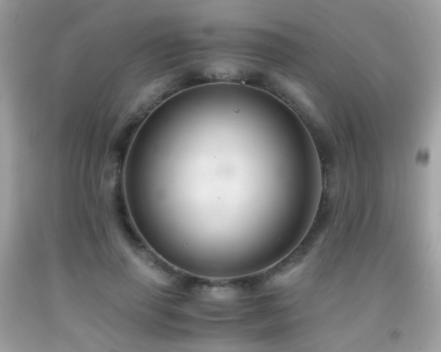 X0000091860645200709051209