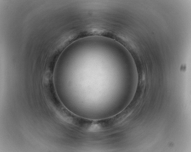 X0000091860647200709051209