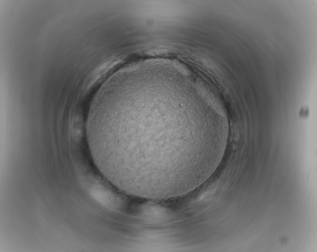 X0000091860648200709051209