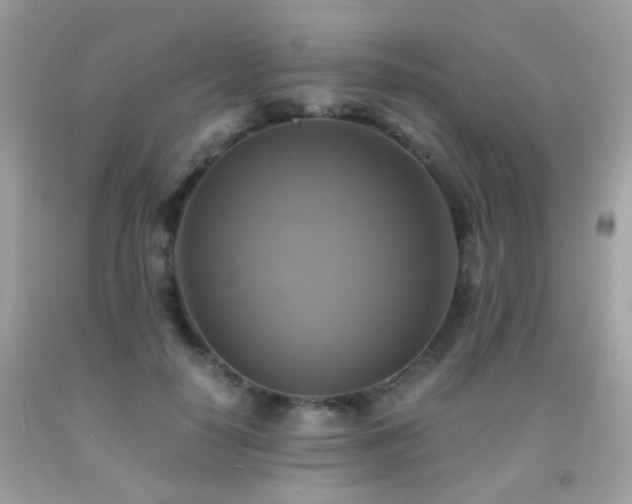 X0000091860650200709051209