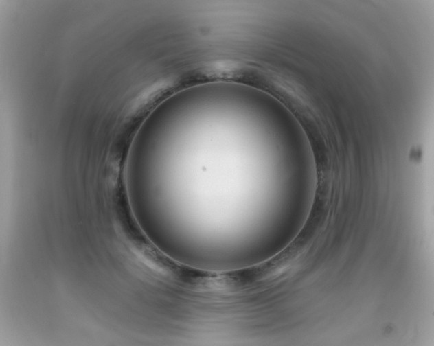 X0000091860652200709051209
