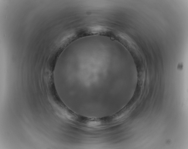 X0000091860653200709051209