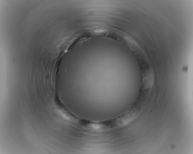 X0000091860654200709051209