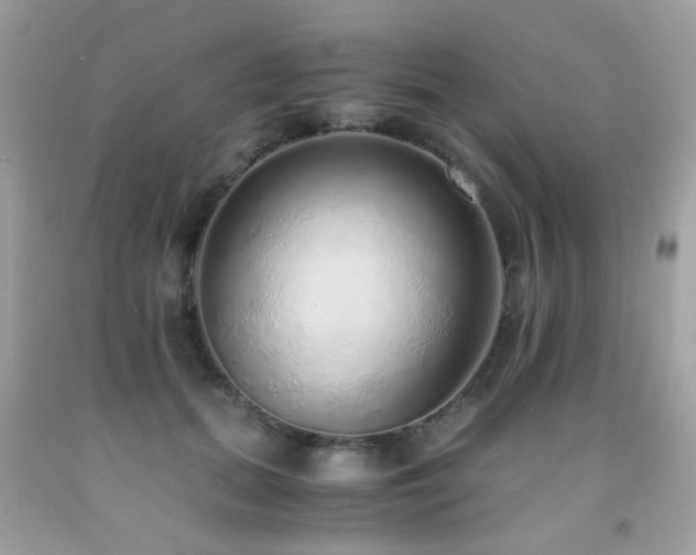 X0000091860655200709051209
