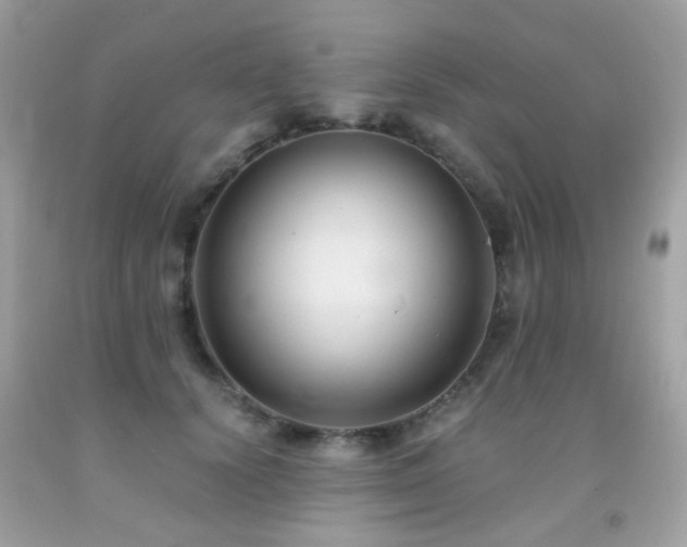 X0000091860656200709051209