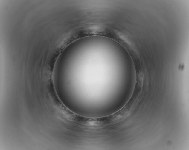 X0000091860657200709051209