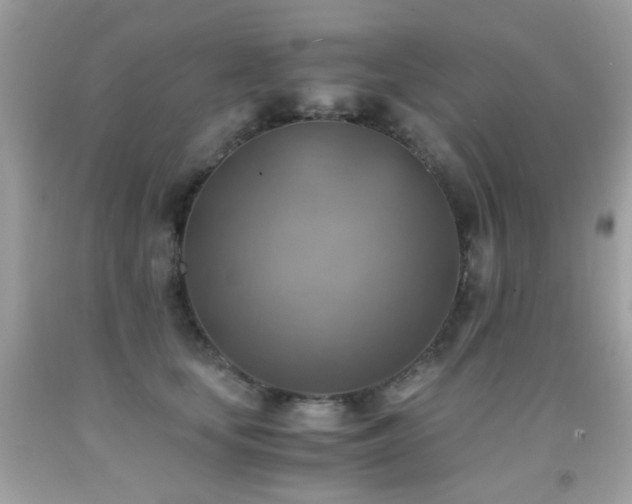 X0000091860659200709051209