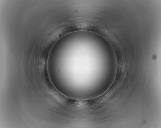 X0000091860660200709051209