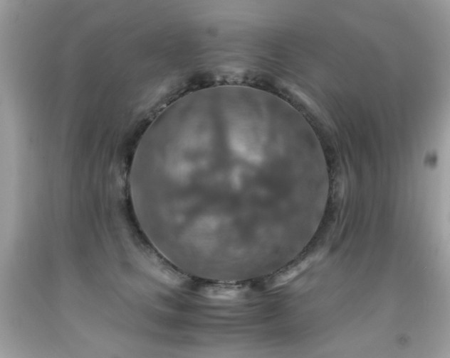 X0000091860661200709051209