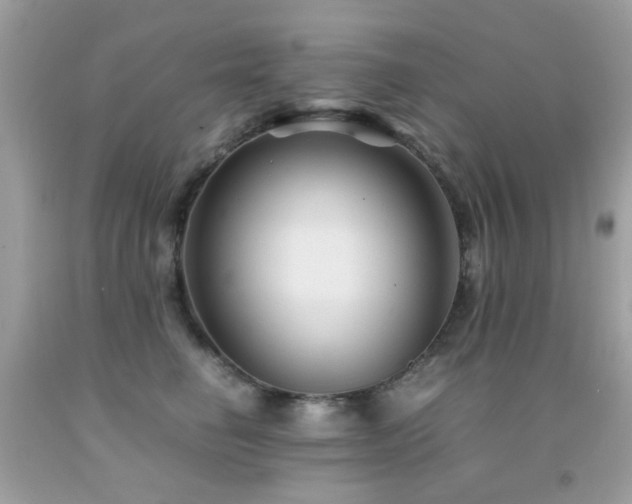 X0000091860662200709051209