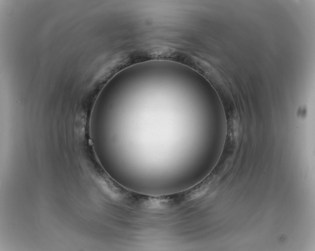 X0000091860664200709051209