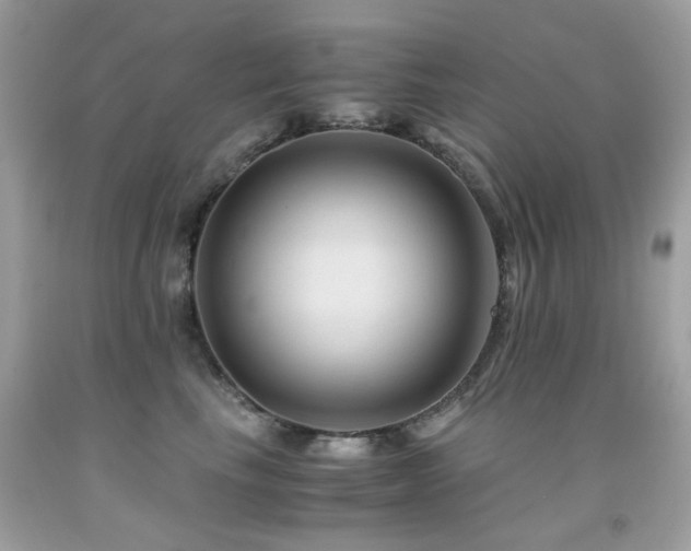 X0000091860665200709051209