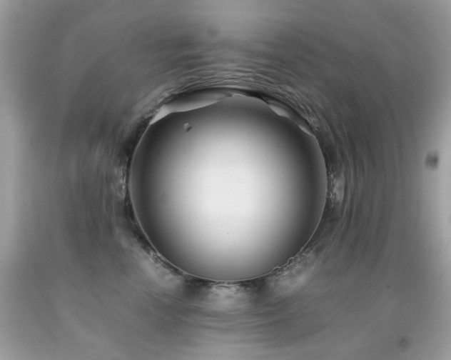 X0000091860666200709051209