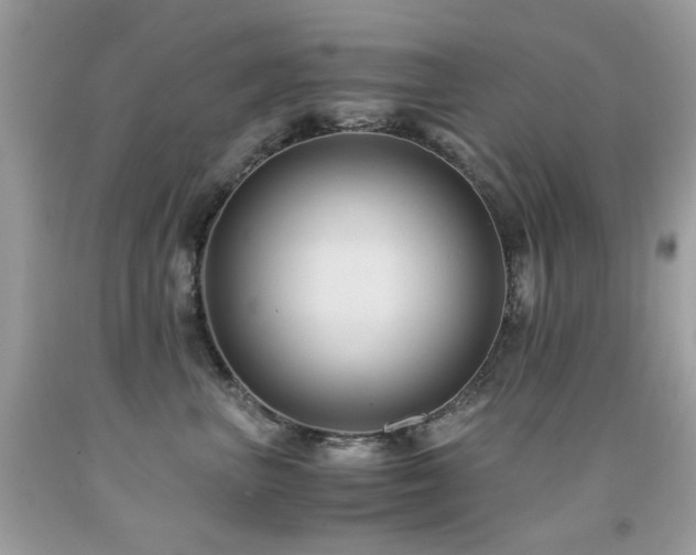 X0000091860667200709051209