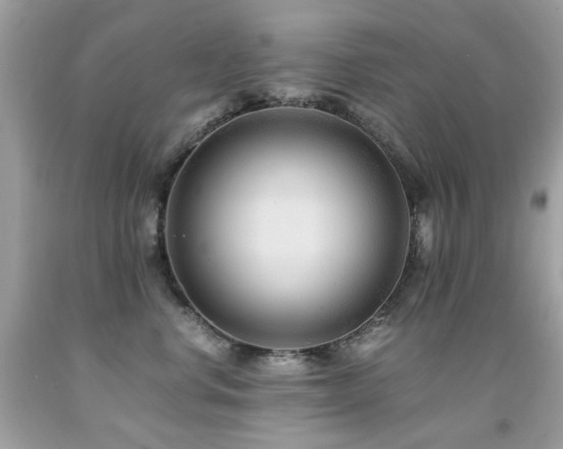 X0000091860668200709051209