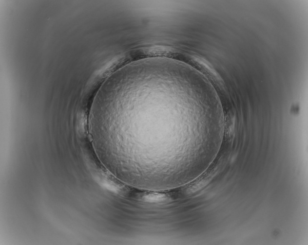 X0000091860669200709051209
